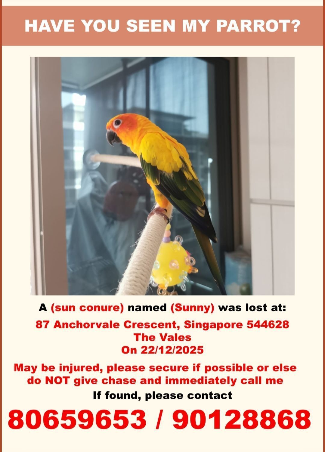 Lost Bird: Bright Orange & Yellow in SG